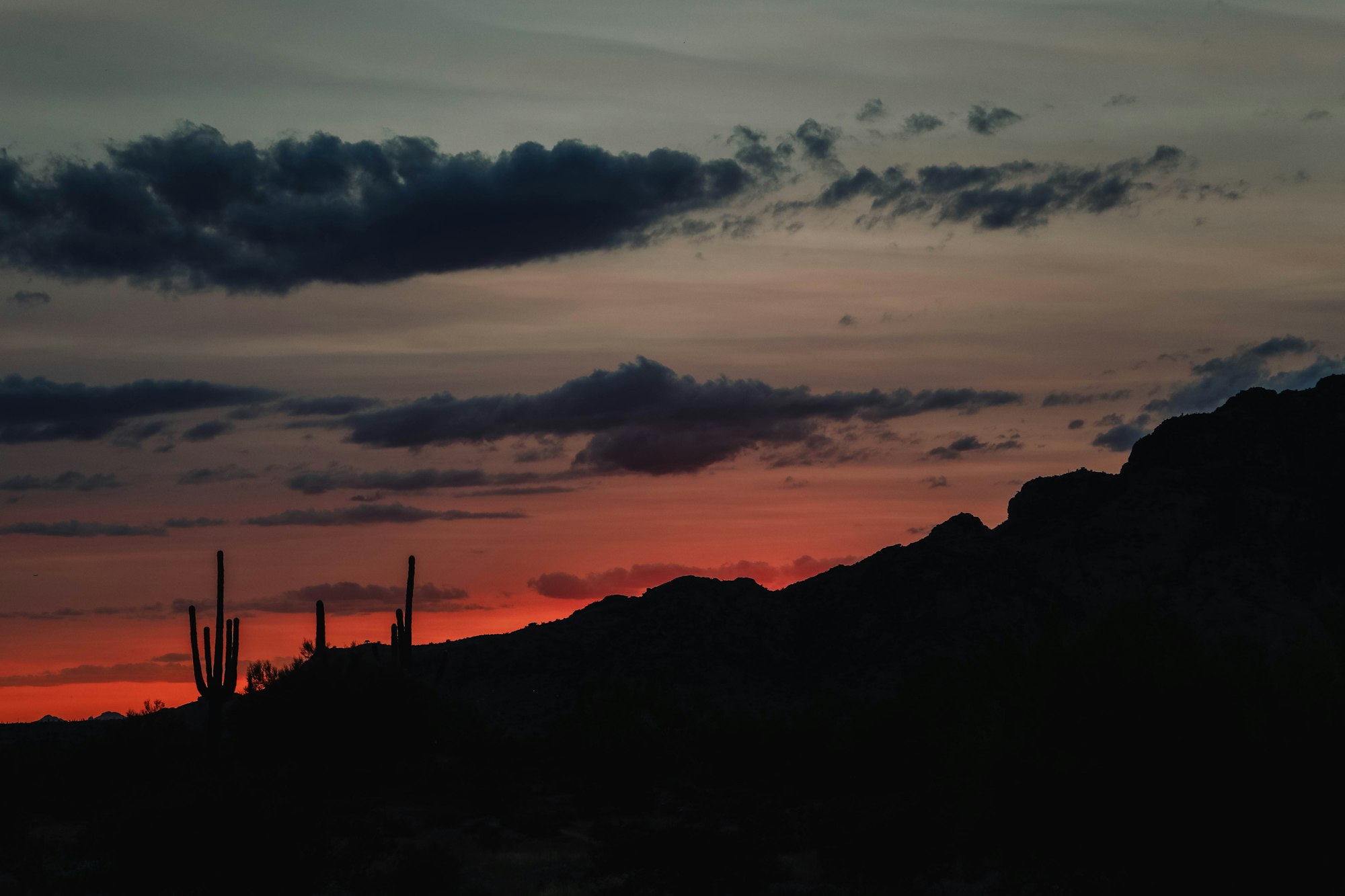Arizona Business Law