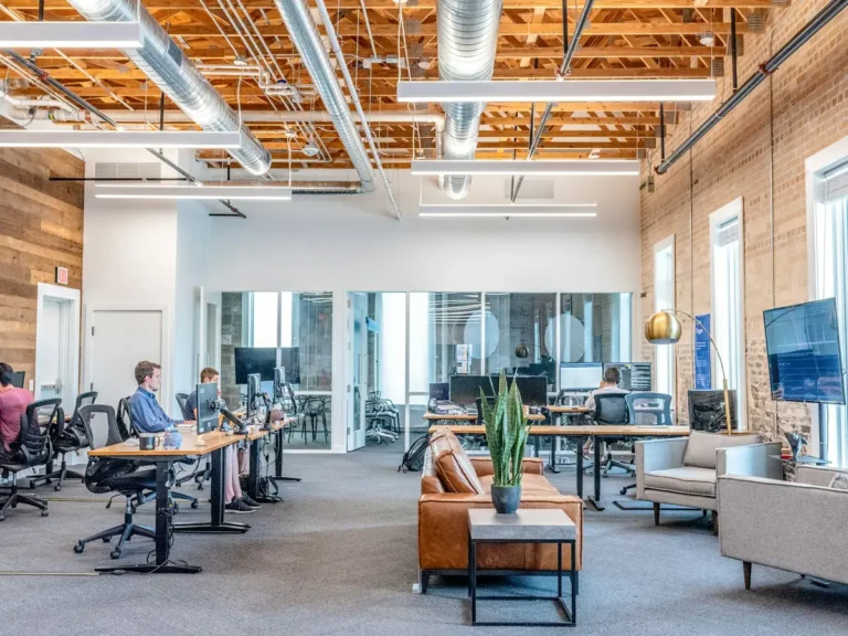 ca form llc